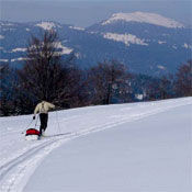 Ski nordique et pulka: Suchet Jura