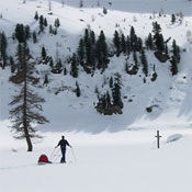 Pulka en famille, ski de randonnée au bord d'un lac à Saoseo, Grisons